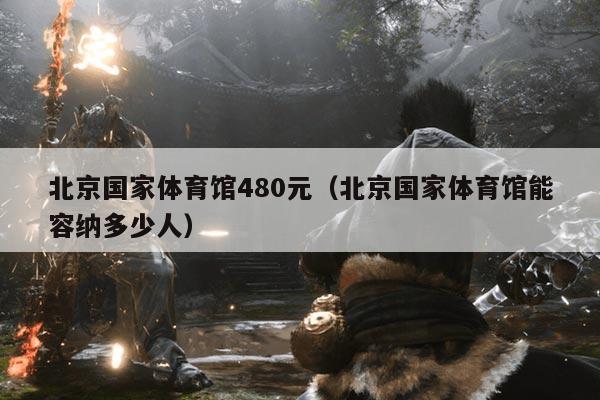 北京国家体育馆480元(北京国家体育馆能容纳多少人)