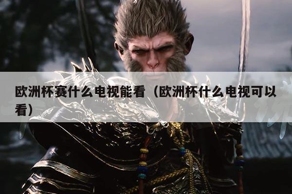 欧洲杯赛什么电视能看(欧洲杯什么电视可以看)