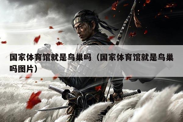 国家体育馆就是鸟巢吗(国家体育馆就是鸟巢吗图片)