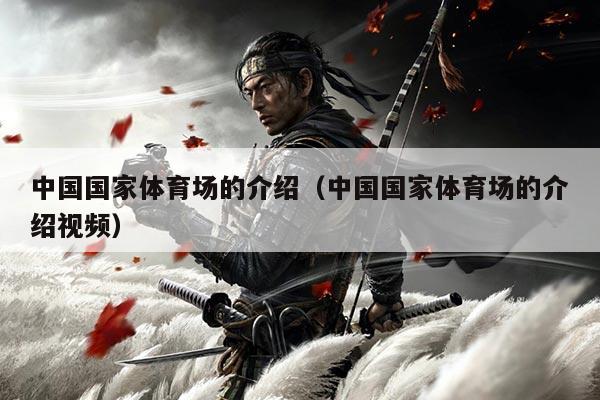 中国国家体育场的介绍（中国国家体育场的介绍视频）