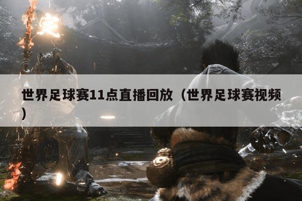 世界足球赛11点直播回放（世界足球赛视频）