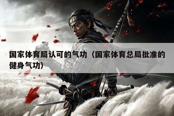 国家体育局认可的气功（国家体育总局批准的健身气功）