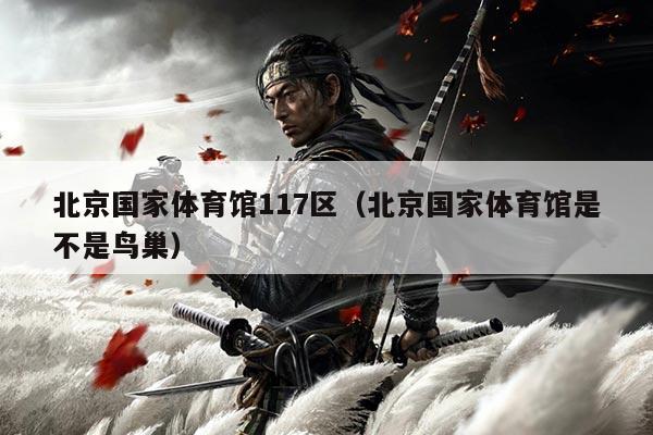 北京国家体育馆117区（北京国家体育馆是不是鸟巢）