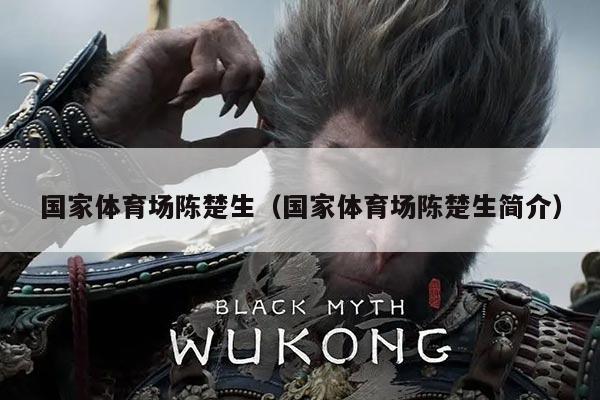 国家体育场陈楚生（国家体育场陈楚生简介）