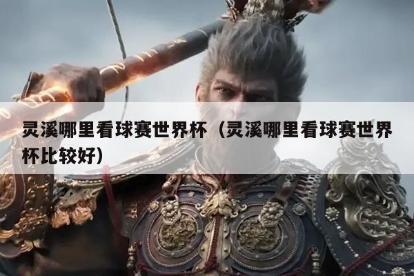 灵溪哪里看球赛世界杯（灵溪哪里看球赛世界杯比较好）