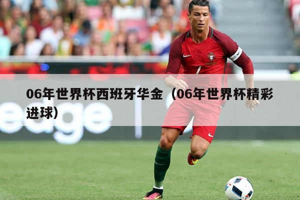 06年世界杯西班牙华金（06年世界杯精彩进球）
