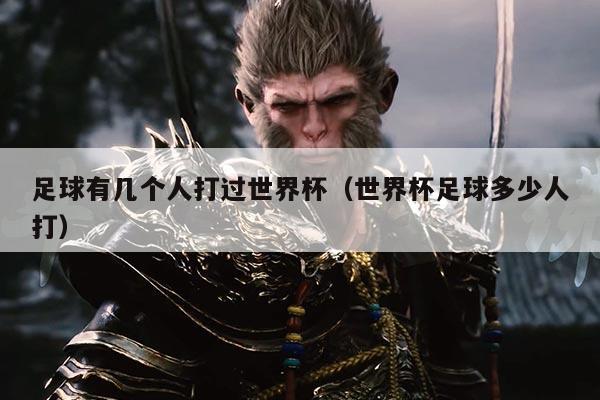 足球有几个人打过世界杯（世界杯足球多少人打）