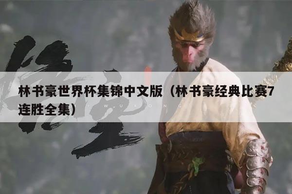 林书豪世界杯集锦中文版（林书豪经典比赛7连胜全集）