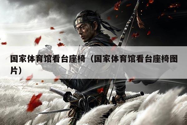 国家体育馆看台座椅（国家体育馆看台座椅图片）